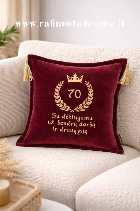 Siuvinėta veliūrinė pagalvėlė - Už bendrą darbą...