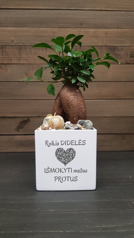 Vazonas „Reikia didelės širdies“
