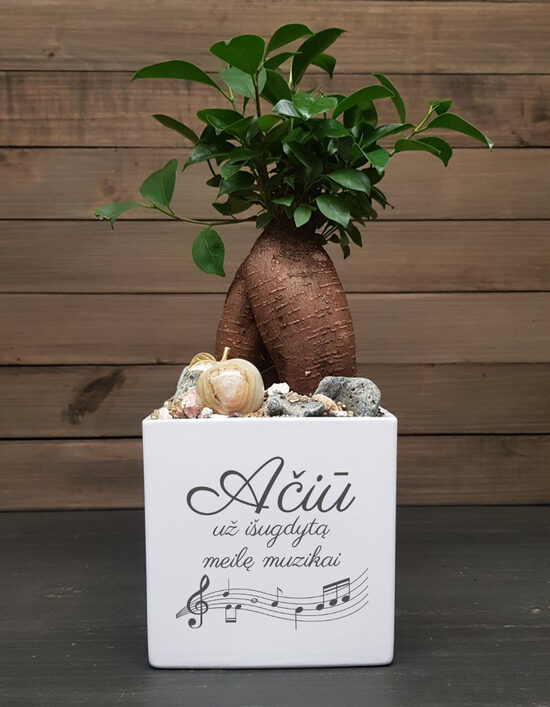 Vazonas „Ačiū už išugdytą meilę muzikai“