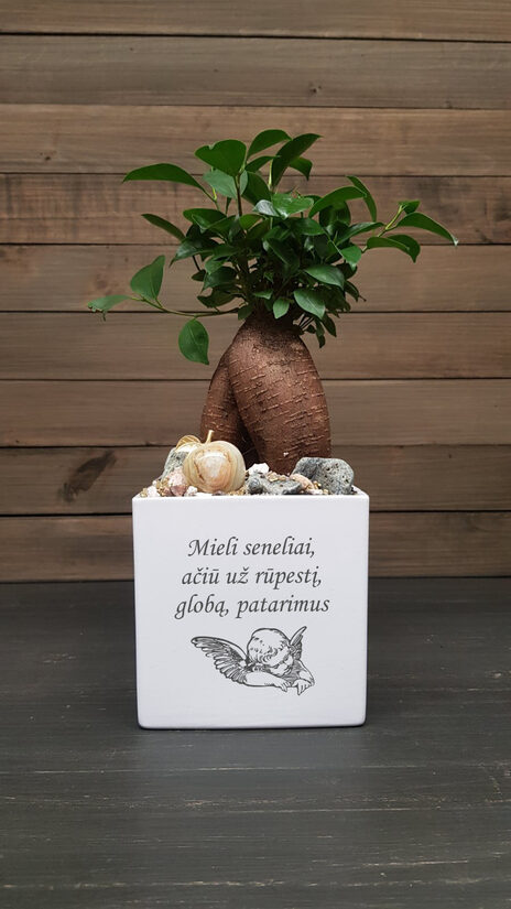 Vazonas „Mieli seneliai, ačiū už rūpestį...“