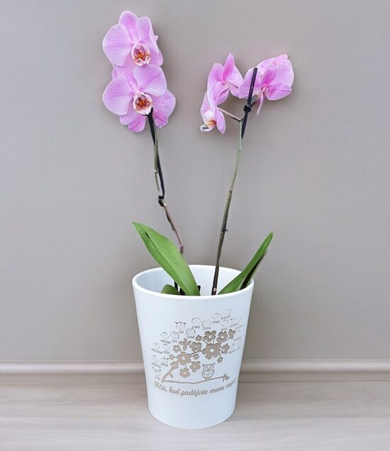 Apvalus vazonas su vaikų vardais „Ačiū, kad padėjote mums augti“