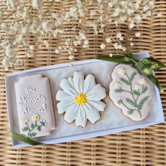 Rinkinukas „Su Mamos diena – ramunėlės”