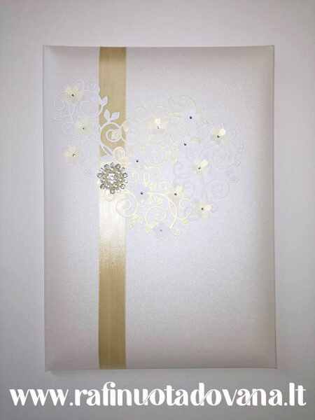 Dėklai liudininkų tekstams (šampaninis)