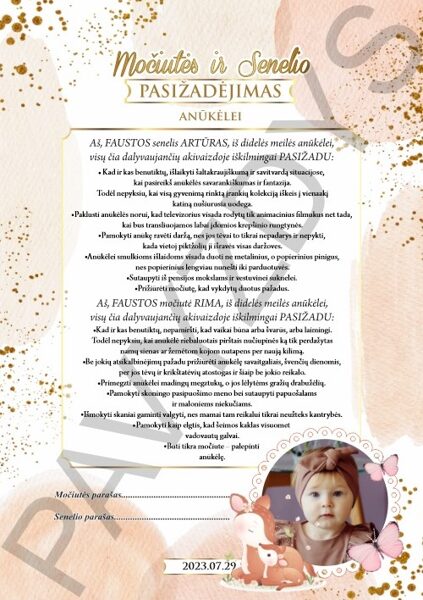 Močiutės ir Senelio pasižadėjimai - Stirniukai