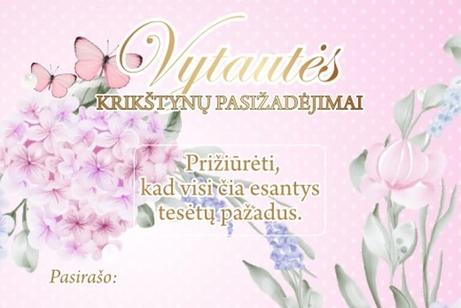 Nutrinami, įrašyti pažadai - Hortenzijos